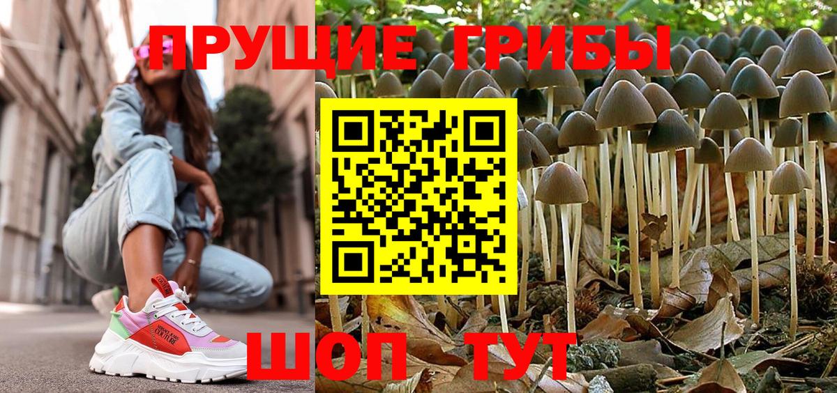Псилоцибиновые грибы Magic Shrooms Павловский Посад