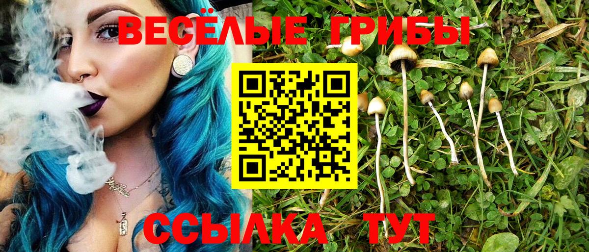 Галлюциногенные грибы Cubensis  Псилоцибиновые грибы прущие грибы  наркошоп  Павловский Посад 