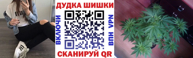 Канабис сатива  Павловский Посад 